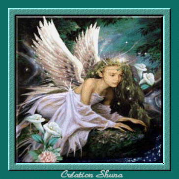 message d'un ange